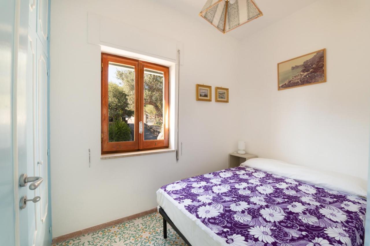 Main Roof Terrace Apartment Нерано Экстерьер фото