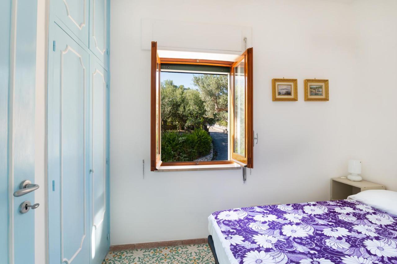 Main Roof Terrace Apartment Нерано Экстерьер фото